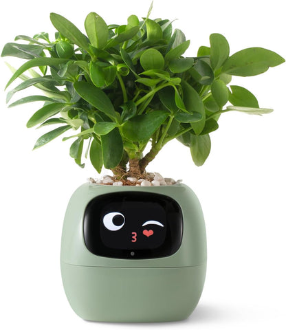 PLANTSIO Smart Emoji Pet Pot for Plant Care Guidance