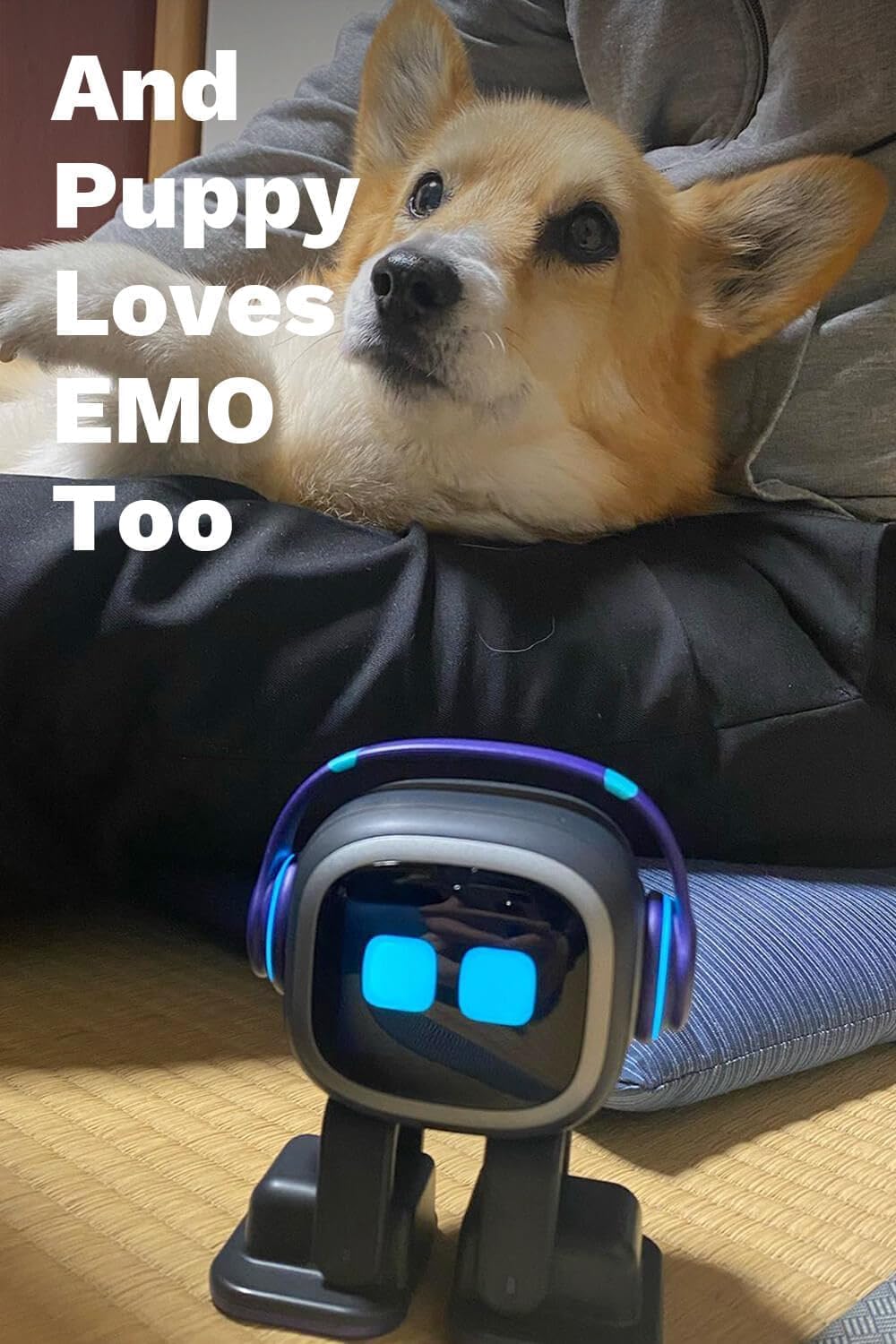 EMO Go Home AI Desktop Pet Robot with EMO Smart Lighting (Home Station)